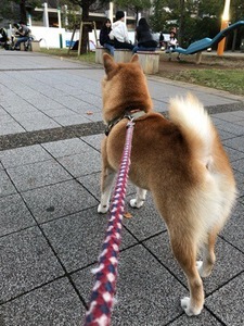 58D4D11C-D59F-4893-BA00-0C9A7BAC3685.jpeg