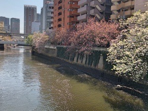 591BE26F-6996-4431-A467-6B396C977333.jpeg