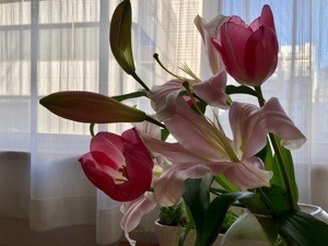 599732D7-85DE-4357-9312-D4EEEA1F8D14.jpeg