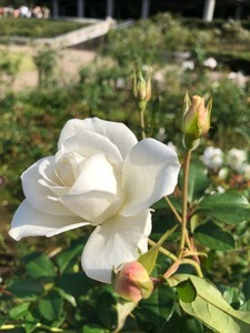 59DAE79F-9C53-444A-820F-3EFC7307E4A6.jpeg
