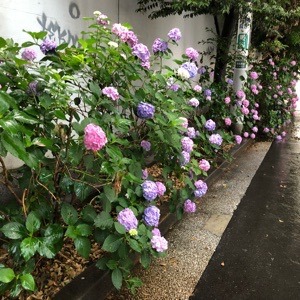 5F0CD780-268D-4CA1-BA92-D4536E4B6A90.jpeg