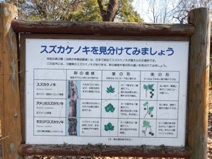 60793CE3-A9EA-41F7-9065-12FE8C96A0FA.jpeg