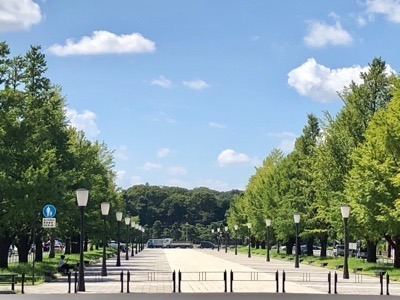 6093FF1C-B09C-4D28-9A07-D0E7202B35FD.jpeg