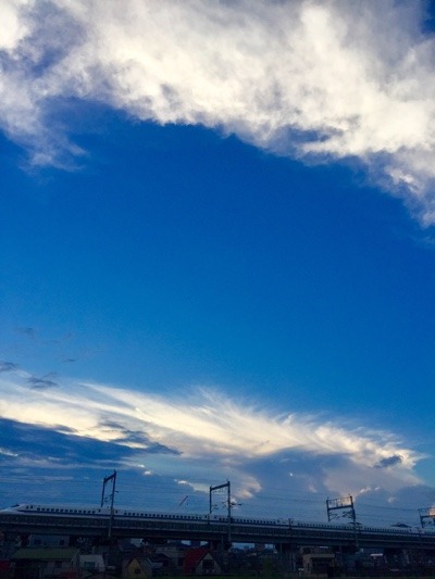61EBDA65-A6EA-4647-800C-79985925F5C6.jpeg