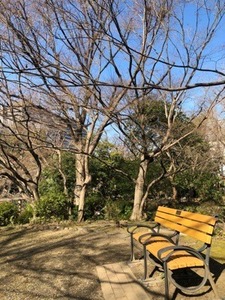 6393B24A-25CE-46DA-9A37-BAAB351084D1.jpeg