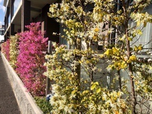643044D1-1F02-4037-A3C3-89732F0F41E9.jpeg