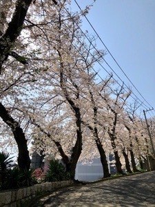 6774DDFE-F8E0-4CD0-8C47-2E57A06B885F.jpeg