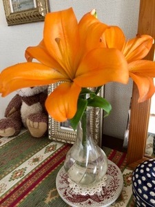 67BE436F-9AD5-41DE-BD77-03C6D04677B3.jpeg