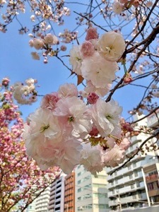 6A7477B0-8F04-49AB-8FF8-0222FE6D92B4.jpeg