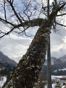 6DD43306-B45B-480A-828A-6F84F60B0C48.jpeg