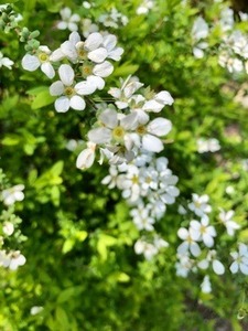 6F3737CD-2CE8-4288-B3CE-BF1D8F888B86.jpeg