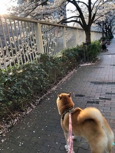 73E71347-2123-485A-B022-25F1CA43451F.jpeg