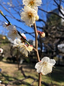 749E5D21-AE01-4D9A-A7DB-34C4ADCCBED3.jpeg