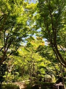74A33892-E4CE-42B5-8B4F-EFF7902513EE.jpeg