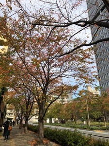 764779D0-8A3E-4F9B-B06B-1FE27497E462.jpeg