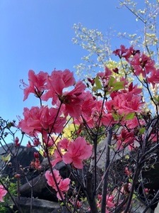 76D36116-115E-4A71-B7C9-B14E8A52FAEA.jpeg