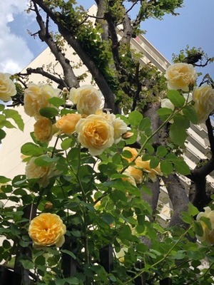 7768D3ED-A0E9-4143-893D-9CDE3354B33C.jpeg