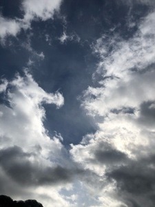 77AF070B-B7E4-4F3A-8216-5C1A35BBC122.jpeg