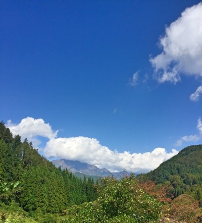 7B14002E-B855-4923-B6F4-5C2D35B887E3.jpeg