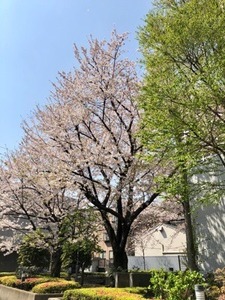 7D0F5F12-1E84-4EF5-B4F6-771EECE0BF59.jpeg