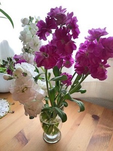 7E875610-59DC-41C5-B859-86ACEF0F9B7B.jpeg
