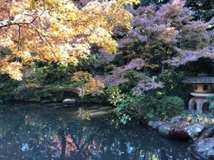 7E9F6890-EBE8-4CFE-9A49-2938D6076FA7.jpeg