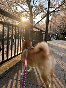 7F392A32-0D4C-48DE-A2D3-ABC562A66E73.jpeg