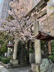 80F68472-FA2E-4841-9507-677908BCCDC2.jpeg
