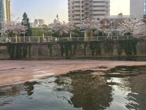 8107EECA-F282-42BB-A48A-C199AFEF9CAC.jpeg