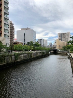 851A81C1-315E-45DA-9561-56576C042361.jpeg