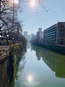 86156F94-9BE4-4BB5-A45C-04CC921E637B.jpeg