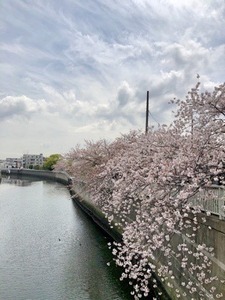 887D1DFF-8738-423F-8C76-0461AB055292.jpeg