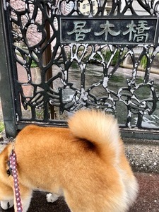 8AE97059-6754-44D2-B665-742A3FD2993F.jpeg