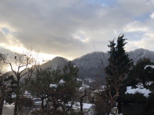 8C2B0503-00B5-4764-9599-1A83E4617DA9.jpeg