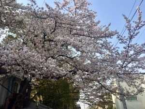 8DEAC5C6-E051-496A-BEC0-E25260B0EBB5.jpeg