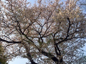 8F55A58F-B470-4B9D-A452-91B4BF4A4929.jpeg