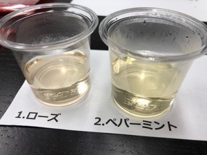 9100A746-29C5-4DDA-8E31-BE20B892B781.jpeg