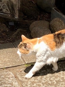 91319821-09A7-4A60-B044-6C66AE6F1AE6.jpeg