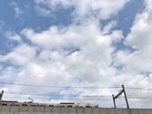 91D3BB9F-31F8-4A1D-8C65-19B5F0F2B992.jpeg