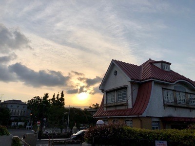 92C0AF37-5942-4A1A-9570-3877F20257FC.jpeg