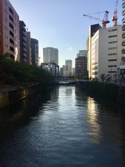 938EC078-206A-45D2-BEF0-8C3038321415.jpeg