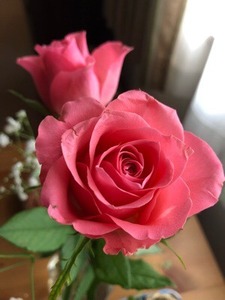 93D3B5C2-EF9E-480D-86B9-94E4AE7FE0F7.jpeg