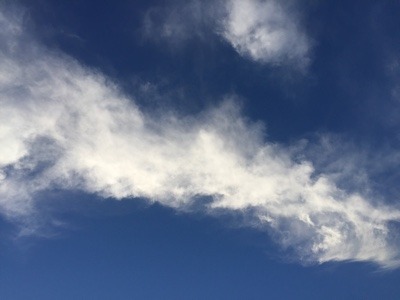 997E378F-051B-44E0-8067-1EC1335A93DF.jpeg