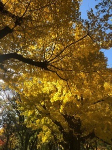 9E4E8B29-C597-4AC7-9617-A75E9654B796.jpeg