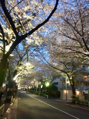 A28ED0EF-354F-48CD-897E-550C31CDD7CB.jpeg