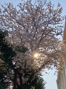 A37DBD7E-39BD-42C5-B7A5-5B380711C96E.jpeg