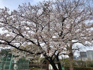 A4FDA81B-D024-4D28-B07A-8F5C72602DE8.jpeg