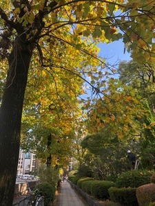 A82BD8FC-DAFF-4B8A-9B9D-043755105249.jpeg