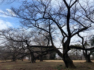A8C88357-A0D6-4E42-AA42-6280883A0762.jpeg