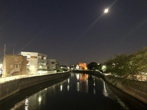 A946F156-A0D1-4594-826C-2F702B672B43.jpeg